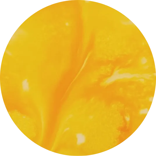 Urinox10 Multiparameter Urine Test Strips Diagnox